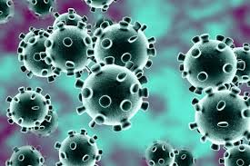 Coronavirus, any virus belonging to the family coronaviridae. Coronavirus Update Live Webmd Com