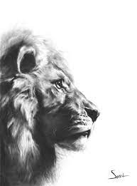 lion print realistic lion art wildlife art print animal art lion lover gift lion decor lion wall art black lion artwork minimalist animal lion painting