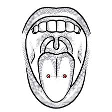 Double horizontal piercing, making two visible ends of a long jewelry on the tip of tongue look like snake eyes. Scoop Piercing Piercing Studio Wien