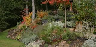 A pattern garden gives us the tools for creating our own highly satisfying garden spaces. Pattern Lanuage Garden Lovinger Robertson Landscape Architect