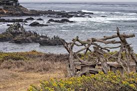 Check spelling or type a new query. Artists Have Taken Driftwood From The Beach At Fiscalini And Turned It Into Many Cool Trail Benc Picture Of Fiscalini Ranch Preserve Cambria Tripadvisor