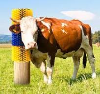 New Style 1 PCS Easy to Assemble Semicircular Cow Scratching Swinging  Cleaning Roller Brush Durable Bristle Cow Brush for Sale