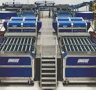 Blueberry Sorting Machines, Grading and Processing Equipment