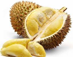 Anh lộc, chủ sạp sầu riêng trả hột cậu út, nói: Ä'iá»ƒm Danh 5 Giá»'ng Sáº§u Rieng Ä'Æ°á»£c Æ°a Chuá»™ng Nháº¥t Táº¡i Viá»‡t Nam Bloganchoi