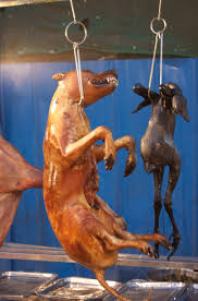 動物, （尤指當作寵物或用來打獵、看護的）狗，犬, 人, 討厭的傢夥，惹人煩的傢夥；失信者, 醜女, 跟隨, 跟隨；跟蹤, 問題, 困擾，阻礙. Lychee And Dog Meat Festival Wikipedia