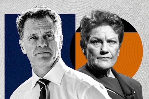 NSW Premier Chris Minns willing to make next state election a gun fight over buyback scheme; One Nation opposes, cost runs into hundreds of millions