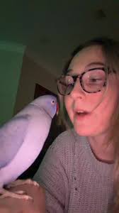 Ham Searches for the Party Location