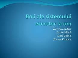 More images for boli ale sistemului nervos la om » Ppt Boli Ale Sistemului Excretor La Om Powerpoint Presentation Free Download Id 2873804