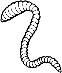 Download and print these earthworm coloring pages for free. Earthworm Coloring Page From Earthworms Category Select From 25105 Printable Crafts Of Cartoons Nature Animals Bibl Worm Worksheet W Is For Worm Earthworms