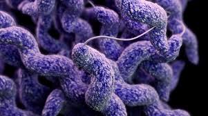 نتیجه جستجوی لغت [infect] در گوگل