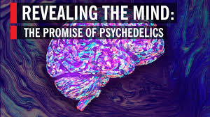 Maybe you would like to learn more about one of these? Revealing The Mind The Promise Of Psychedelics Youtube
