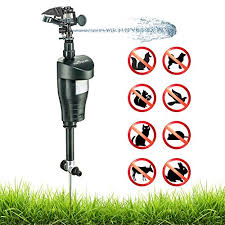 Today i will show you how to. 10 Best Motion Activated Sprinklers 2020 For Your Backyard