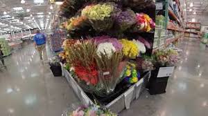 We did not find results for: Best Of Chateau De Roses Costco Free Watch Download Todaypk