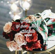 التطبيق يحتوي على قصائد قصيرة وكاملة للشعراء العرب في العصر الحديث من بينهم حامد زيد ، نزار قباني ، محمد بن الذيب ، ناصر الفراعنة ، شعر شعبي يمني ، شعر شعبي عراقي ، شعر شعبي تونسي ( قصيدة. ÙƒÙ„Ø§Ù… ØºØ²Ù„ ÙŠÙ…Ù†ÙŠ ÙƒÙ†Ø¬ ÙƒÙˆÙ†Ø¬