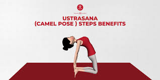 Think back to the last time you had butterflies or felt a pit in the stomach: Ustrasana Camel Pose Steps Benefits 7pranayama