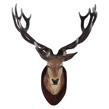 Clipart Deer Png Transparent Background Free Download 32764 Freeiconspng Download the transparent image in png format. clipart deer png transparent background