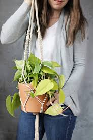 Maybe you would like to learn more about one of these? Diy Macrame Plant Hanger Hello Nest