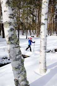 16 Of The Best Small Mountain Towns For A Cozy Winter Winter Vacation Spots Snow Vacation Vacation Spots