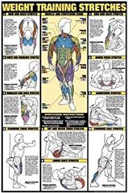 Gym Workout Chart Full Hd Images Anotherhackedlife Com