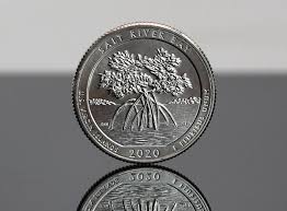 Tourists at the north shore road overlook, francis bay, virgin islands national park, st. Salt River Bay Quarters For U S Virgin Islands Released Coinnews