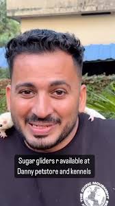 Hand tamed sugar gliders r available at Danny petstore and kennels for more  details contact : 7306055555