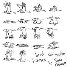 Flycycle Frames Free 4 All Read Description By Drosera Sundews Animated Drawings Animation Reference Bird Drawings