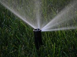 Fall is usually the time of year when homeowners start to prepare their lawns and gardens for winter. Spring Watering Fall Seeded Lawns Martz Bros Lawn Care