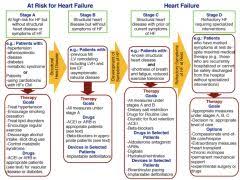 Pharmacology Congestive Heart Failure Flashcards Cram Com
