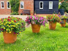 So you'll find something to suit every garden. Outdoor Garden Pots Green Pastures Garden Centre