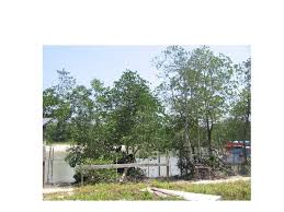 Mengetahui kesan kegiatan manusia terhadap alam sekitar di kampung baru balakong, selangor. P 76 Bab 7 Potensi Dan Halangan Bentuk