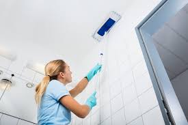 Most of the time, spiders will stay outside in the garden, but sometimes they will make their way into the house as temperatures drop. Easiest Way To Get Rid Of Cobwebs Cleanzen