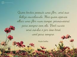 Las frases de paulo coelho que conforman su extensa actividad literaria le han encumbrado de tal manera que se ha convertido en el escritor con mayor número de seguidores en las distintas redes sociales. 43 Frases E Mensagens De Paulo Coelho Que Te Marcarao Para Sempre Pensador