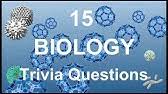 Because a week isn't long enough. 10 Hanukkah Trivia Questions Trivia Questions Answers Youtube