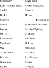 Image result for Croton dichogamus