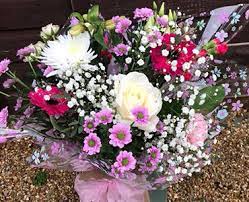 We did not find results for: Florists In Durley Flower Delivery By Flowers By Joanne