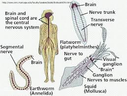 Maybe you would like to learn more about one of these? à¸£à¸°à¸šà¸šà¸›à¸£à¸°à¸ªà¸²à¸—