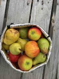 Top 10 Les Fruits Les Moins Sucres Toutes Saisons Confondues Proxieat
