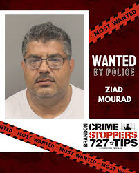 Bobcat BIRT Cup breaks fundraising record