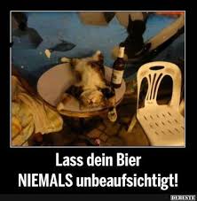 Die Geilsten Shirts Fur Bier Trinker Und Bierbrauer Gibt S Nur Bei Uns Von Ebenblatt Schau Vorbei B Facebook Humor Katzen Lustige Spruche Lustige Bilder