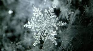 Cool Facts About Snowflakes The Fact Site The most comprehensive image search on the web. cool facts about snowflakes the fact site