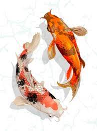 Check spelling or type a new query. Free Koi Fish Vectors 600 Images In Ai Eps Format