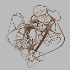 Neurons Closed Neural Network 3d Model Closed Neurons Neural Model 3d Model Neurons 3d Design