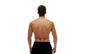 Acupressure For Low Back Pain My Doctor Online