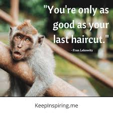 Reading through these monkey puns is like taking a headfirst dive into a jungle of hilarity. Work Monkey Quotes Dogtrainingobedienceschool Com