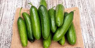 Les concombres sont plus gros et poussent sur des plants étêtés dont on ne laisse se développer qu'un nombre limité de fruits. 6 Bienfaits Du Concombre A En Profiter