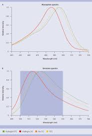 Fluorescent Dyes Flow Cytometry Miltenyi Biotec