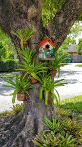 7 Top Ideas For Your Vertical Vegetable Garden Succulent Garden Outdoor Succulents Garden Flower Pot Garden