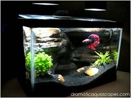 Best betta fish aquarium recommendations. Aquascape Ideas Betta Fish Tank Aquascape