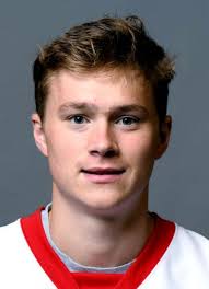 Player photos for the 2019-20 Kenai River Brown Bears at hockeydb.com