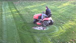 Maybe you would like to learn more about one of these? Simplicity Ride On Mower By Gazandjen1